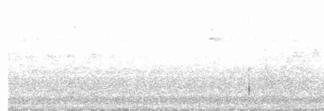 マミジロミツドリ（bahamensis） - ML613950993