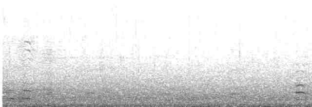 אווז לבן-מצח - ML613951169