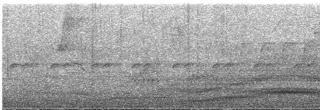Küpeli Guan - ML613952573