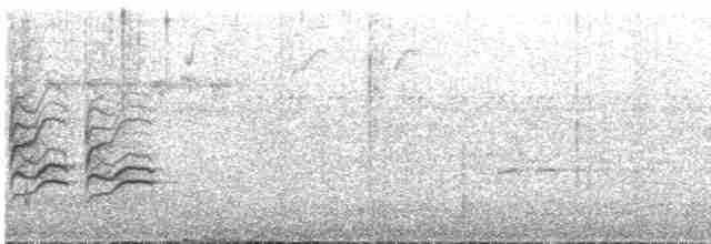 gyllenbukeufonia - ML613952648