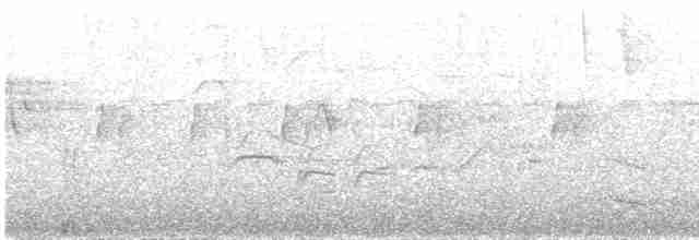 Eufonia Ventrinaranja - ML613952656