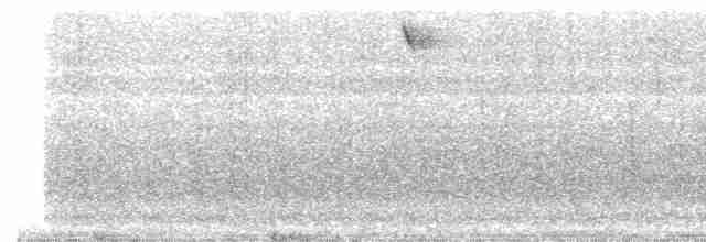 Kubasmaragdkolibri - ML613953384