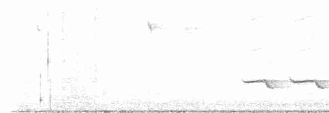 Ak Tepeli Baştankara - ML613953404