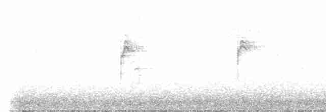 Белогорлая зонотрихия - ML613954388