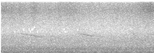 白胸燕鵙 - ML613954520