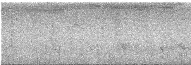 holub čarokrásný - ML613955752