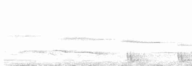 Large-tailed Nightjar - ML613955770