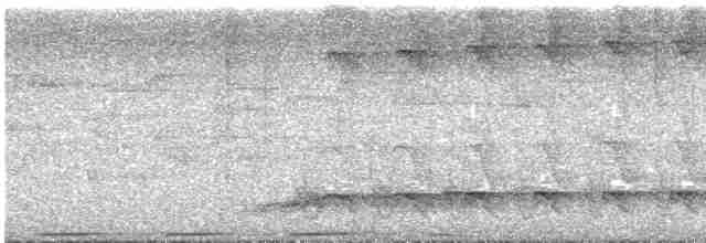 Белохвостый райский зимородок - ML613956211