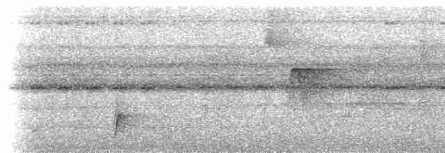 Streifenbrust-Ameisendrossel - ML613957946