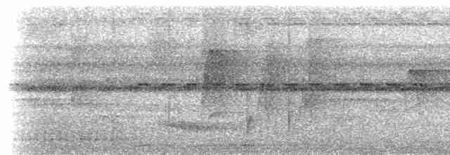 Toucan vitellin (culminatus/pintoi) - ML613957972