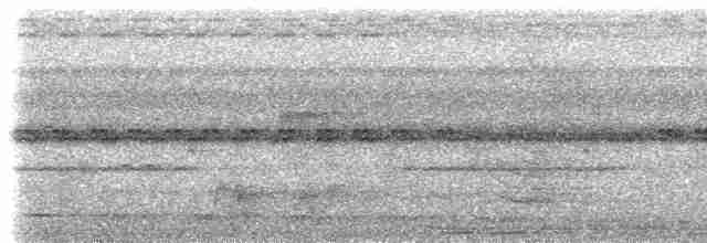 Schwarzgrau-Ameisenvogel - ML613958004