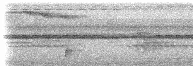 Товака бурогуза - ML613958024
