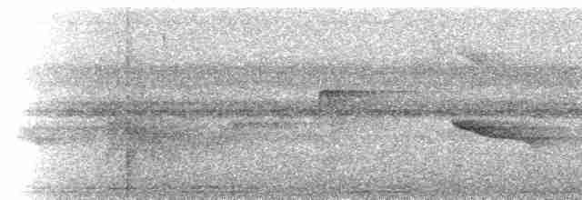 holub šedorůžový - ML613958074