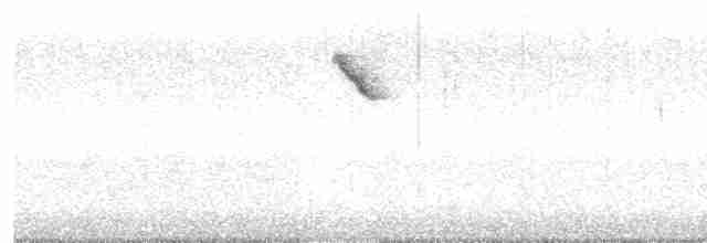 Веерохвостая корольковка - ML613959072
