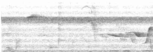 Поплітник плямистоволий - ML613960720