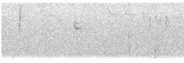 Troglodyte de Bewick - ML613961949