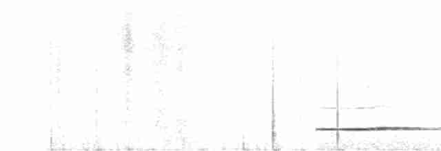 Thicket Tinamou - ML613963346