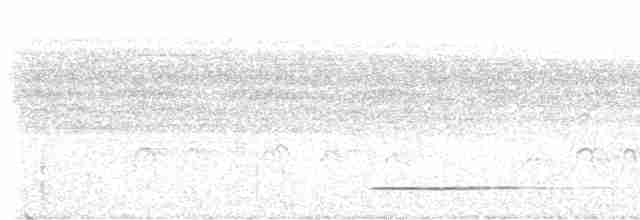 Кустарниковый скрытохвост - ML613963802