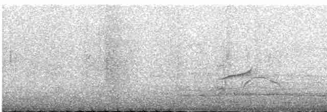 Трупіал чорногузий - ML613964834