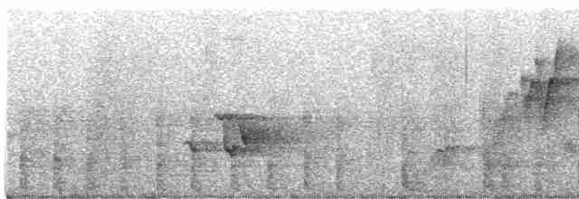 Серый павлиний фазан - ML613966315