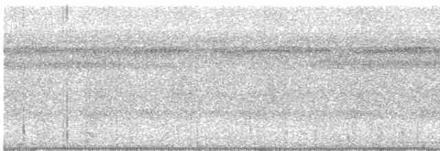 Weißschulter-Ameisenvogel - ML613967246