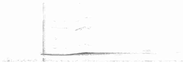 Тихоокеанский коэль - ML613969265