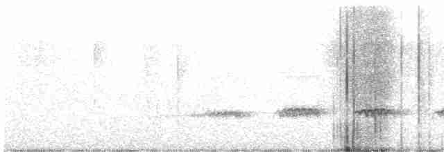 Little Spotted Kiwi - ML613969500