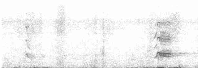 Австралийская султанка - ML613969504