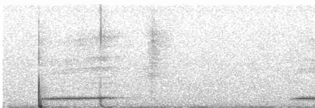 Кукушечья иглоногая сова - ML613969508