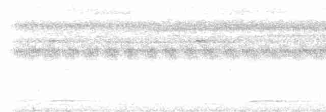Ломбокская совка - ML613973009