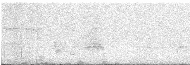 Gray Catbird - ML613973116