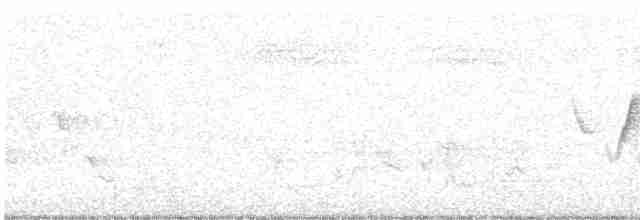 Common Yellowthroat - ML613973139