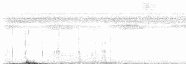 Аспидногрудый скрытохвост - ML613973141