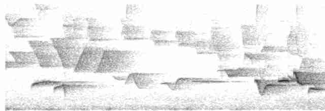 Серогрудый крапивник - ML613975815