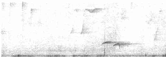 Серогрудый крапивник - ML613975816
