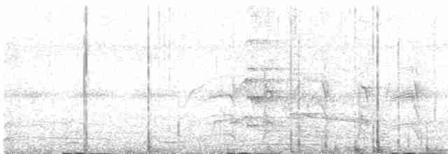 Western Dwarf Hornbill - ML613976143
