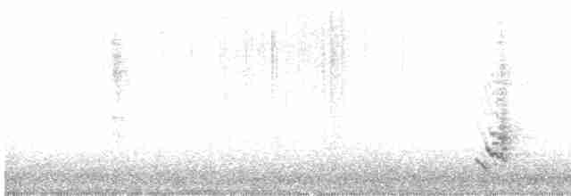 Long-billed Thrasher - ML613976505