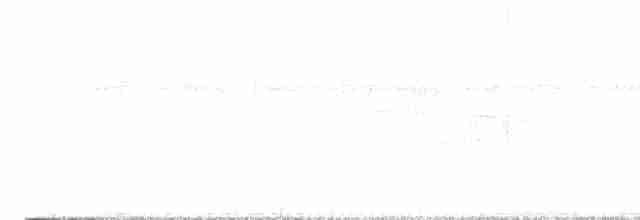 Common Yellowthroat - ML613977015