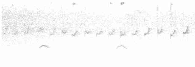 Stachelschwanzschlüpfer - ML613977403