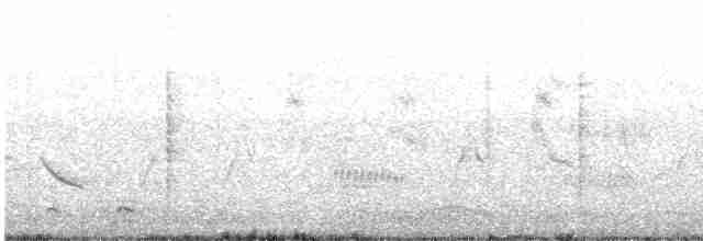 Северная бормотушка - ML613978294