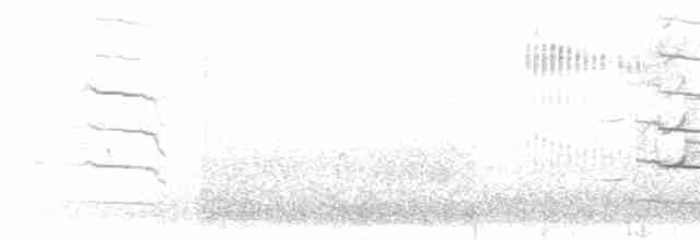 Лиска жовтодзьоба - ML613978941