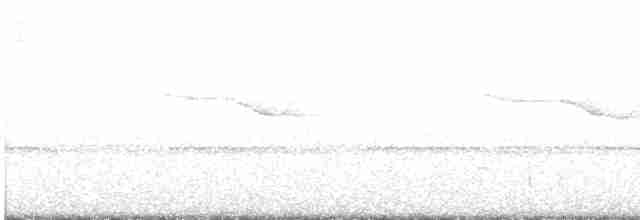 Breitspiegel-Nachtschwalbe - ML613979103