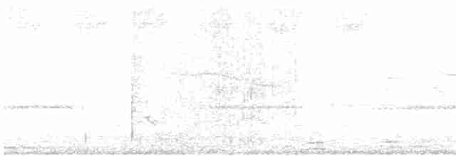 Breitspiegel-Nachtschwalbe - ML613979105