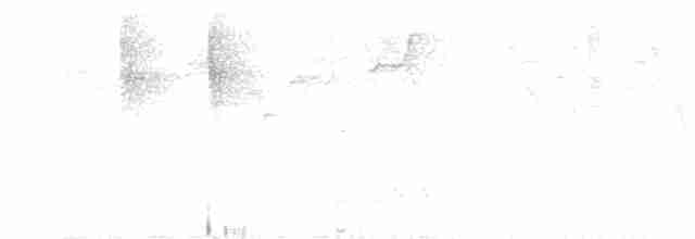 holub kovový - ML613979226