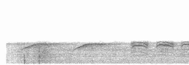 Гаїчка-пухляк звичайна [група montanus] - ML613980004