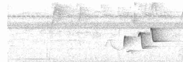 Riperyan Çıtkuşu - ML613981155