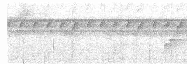 Riperyan Çıtkuşu - ML613982171