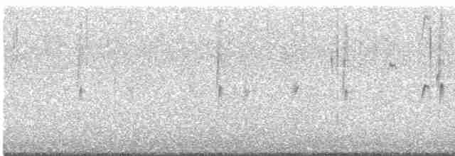 Юнко сірий (підвид caniceps) - ML613982193