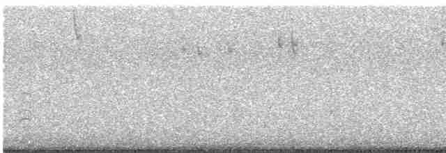 Юнко сірий (підвид caniceps) - ML613982195