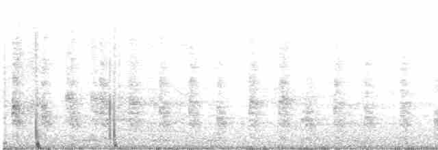 Boz Sukılavuzu [longirostris grubu] - ML613983052